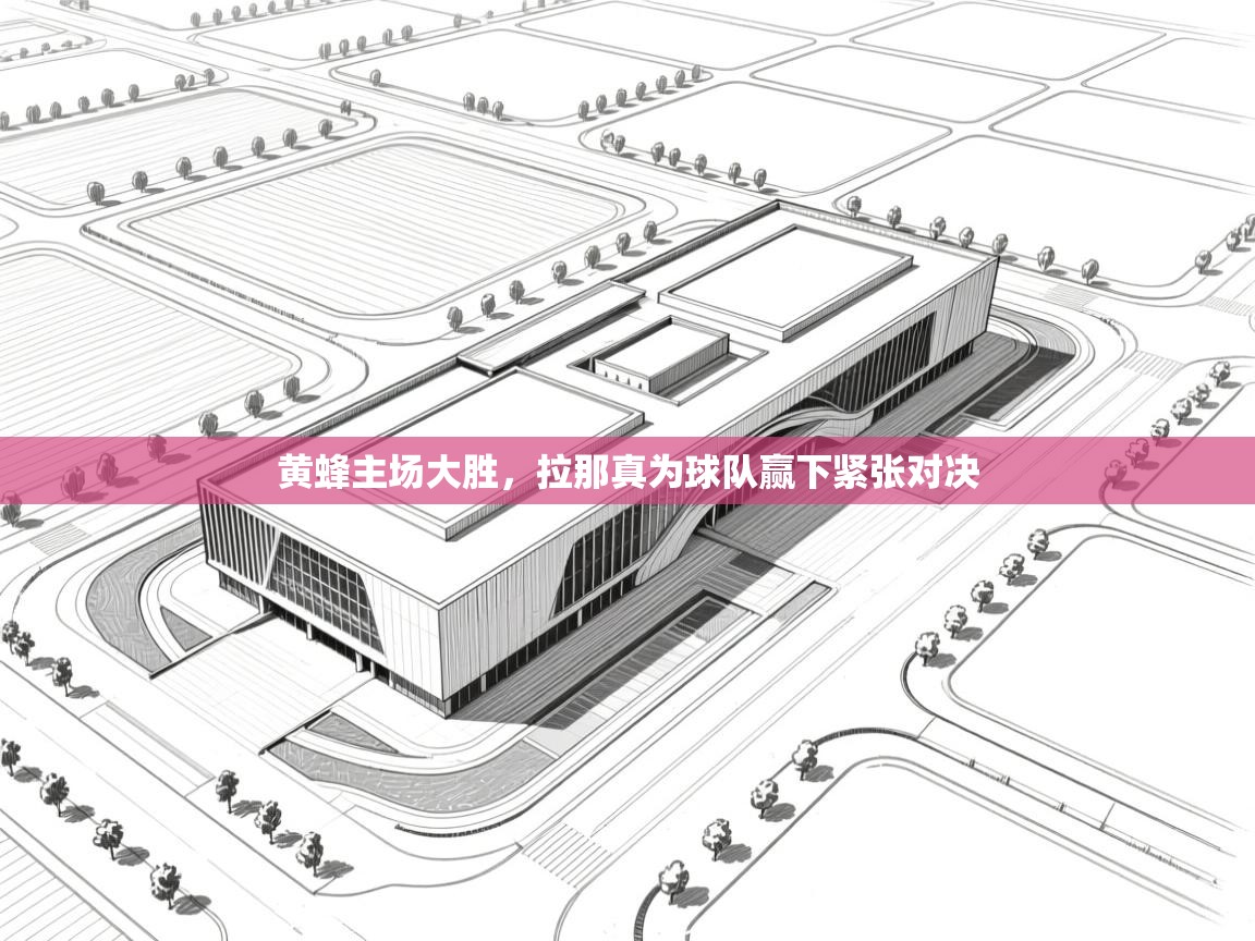 黄蜂主场大胜，拉那真为球队赢下紧张对决  第1张