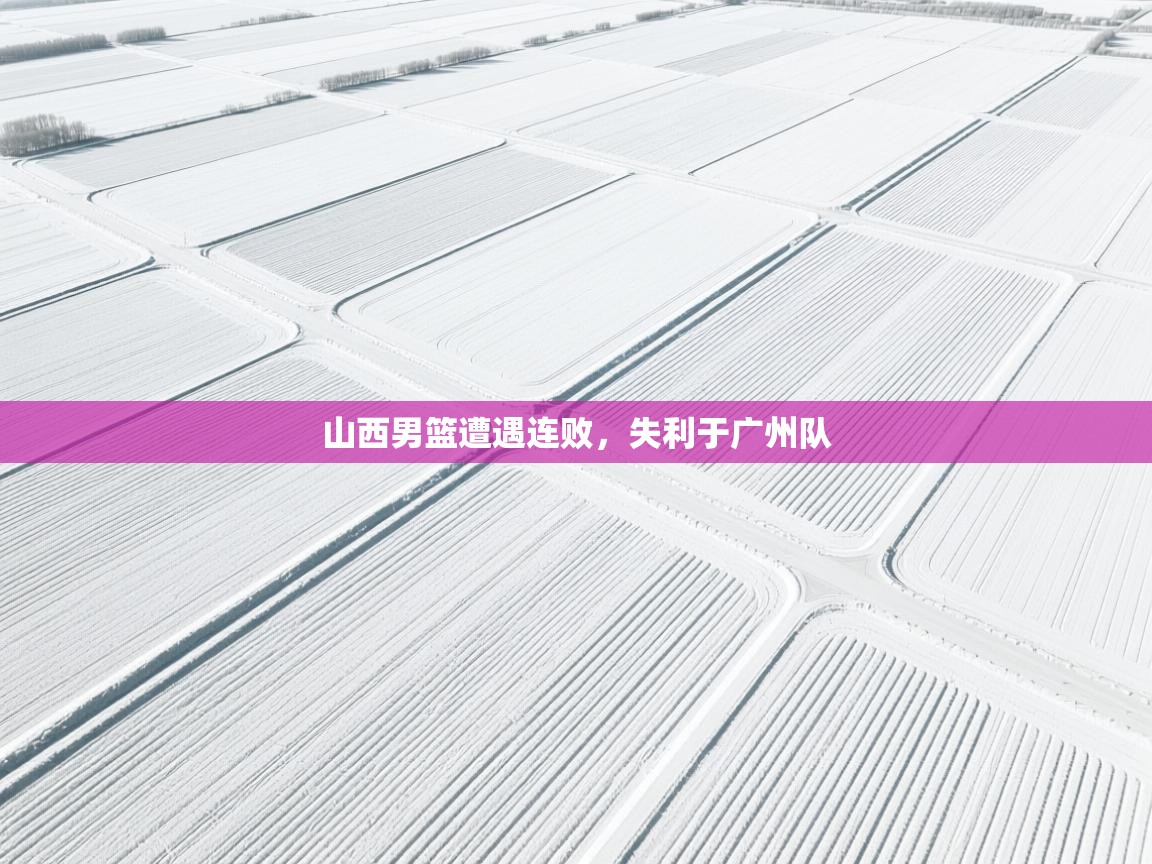 山西男篮遭遇连败，失利于广州队  第1张