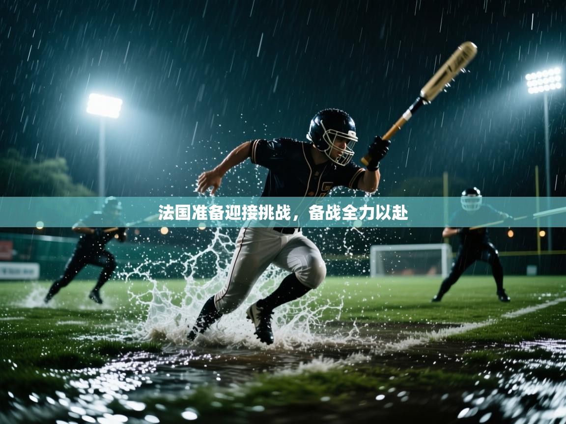 法国准备迎接挑战，备战全力以赴  第1张